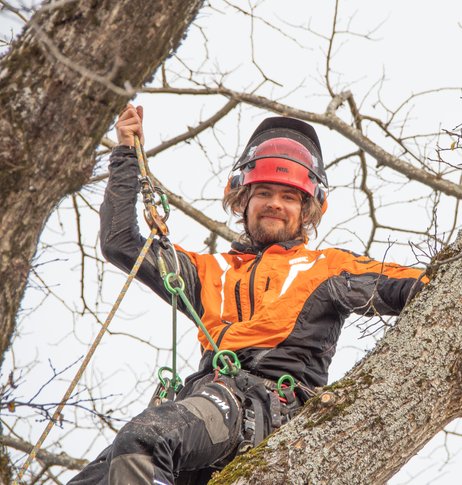 Fagskoleutdannet arborist klatrer i et tre